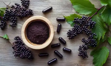 How to Use Elderberry Extract Powder in Supplements and Functional Foods？